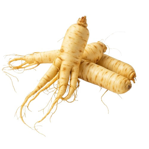 Ginseng, planta adaptógena que mejora la memoria, concentración y vitalidad