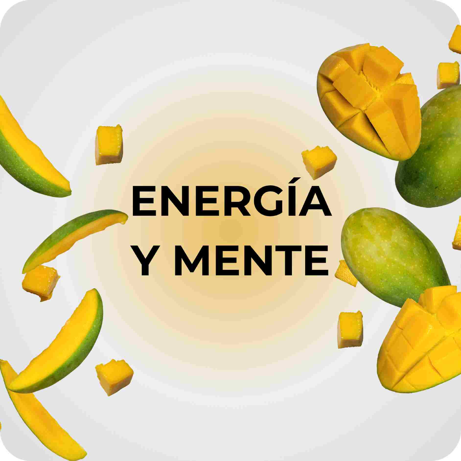 Suplementos para la energía diaria, la concentración y el bienestar mental