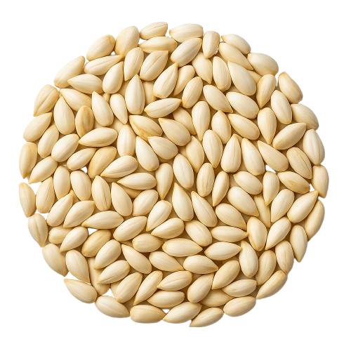 Aceite de semillas de cártamo, fuente natural de ácidos grasos saludables para control de peso y salud cardiovascular
