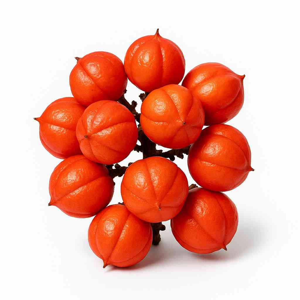 Extracto de guaraná, fuente natural de cafeína para energía y reducción de la fatiga