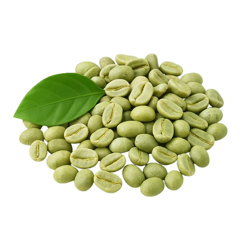 Extracto de café verde, fuente natural de antioxidantes y apoyo para el metabolismo