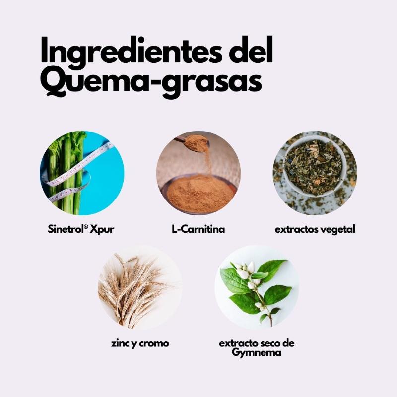Quema Grasa | L-Carnitina, Sinetrol® Xpur y Extractos Vegetales (Mejora tu rendimiento físico)– 90 cápsulas
